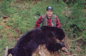 Montana bear photo 1