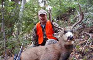 Montana mule deer