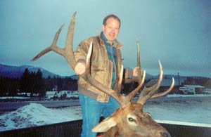 Montana elk photo 1
