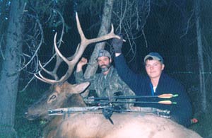 Montana elk photo 2