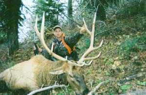 Montana whitetail photo 2