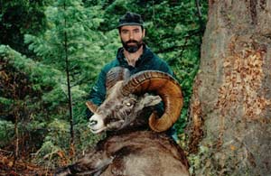 Bighorn Sheep 1