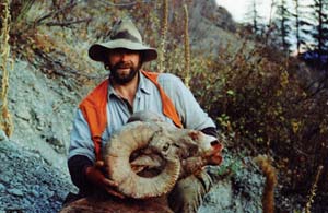 Bighorn Sheep 2