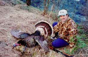 Montana turkey photo 1