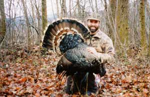 Montana turkey photo 2