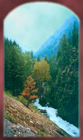 Montana creekfront real estate