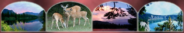 Northwest real estate for sale
