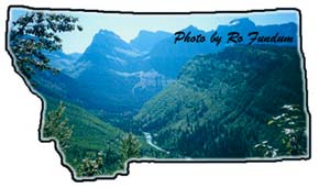 Lo Lo national forest land near montana real esate for sale