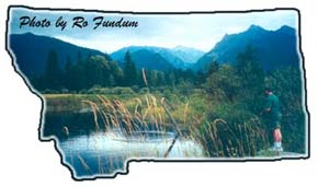Wet lands near Thompson Falls Montana