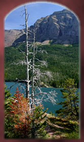Montana's Glacier National Park Photo