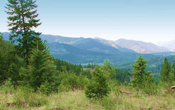 mineral county photo