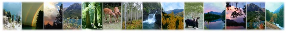 Western Montana real estate pictures