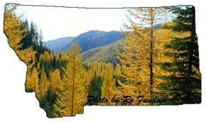 Northwest montana realestate